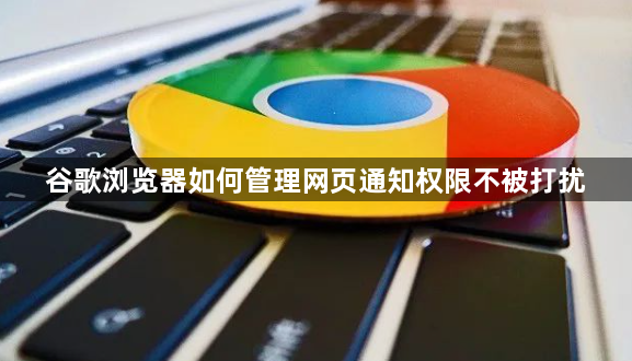 谷歌浏览器如何管理网页通知权限不被打扰1