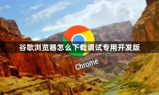 谷歌浏览器怎么下载调试专用开发版1