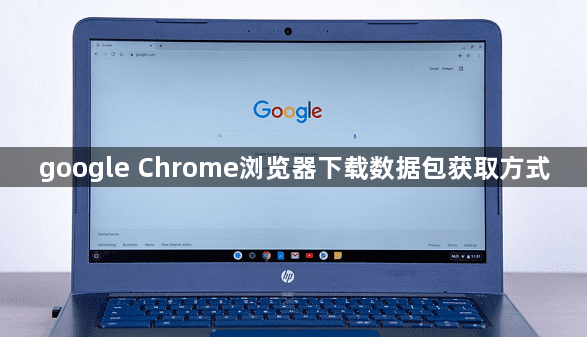 google Chrome浏览器下载数据包获取方式1