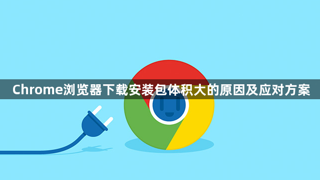 Chrome浏览器下载安装包体积大的原因及应对方案1