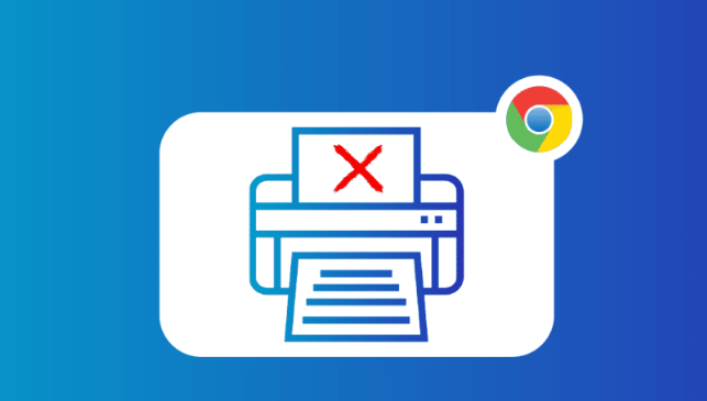 Google Chrome浏览器缓存优化与加载速度对比-性能提升技巧