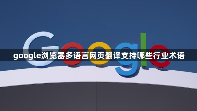 google浏览器多语言网页翻译支持哪些行业术语1