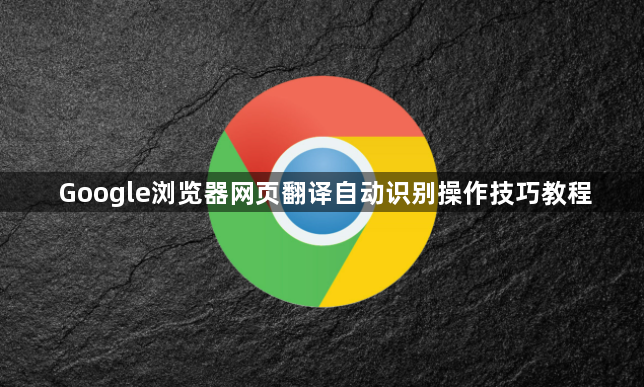 Google浏览器网页翻译自动识别操作技巧教程1