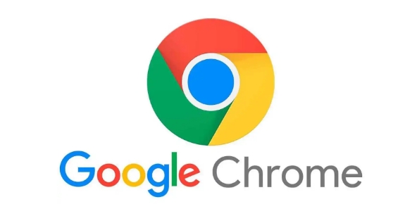 google浏览器最新版本下载安装攻略-安全高效操作