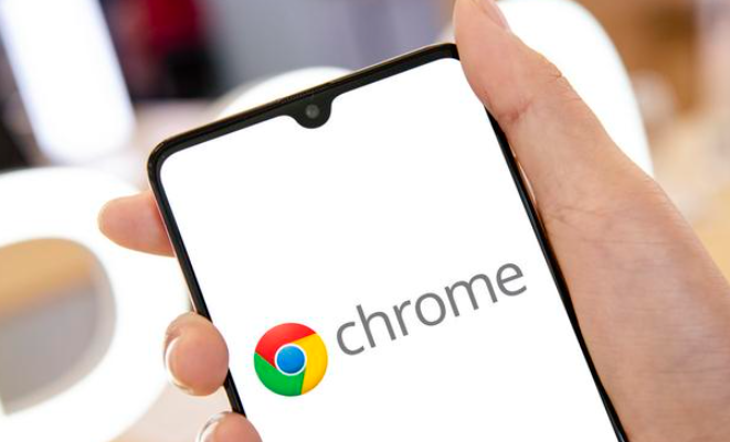 Chrome浏览器下载加速操作经验分享教程实操技巧-快速获取资源