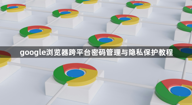 google浏览器跨平台密码管理与隐私保护教程1