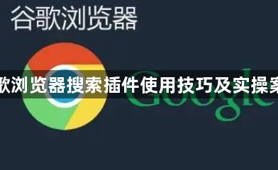 谷歌浏览器搜索插件使用技巧及实操案例1