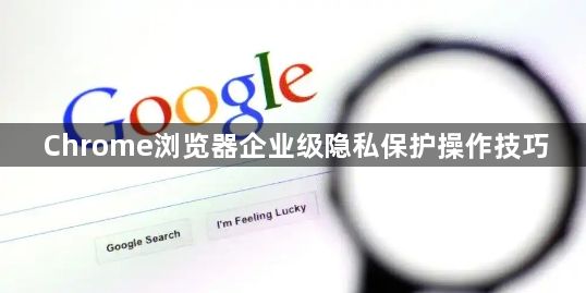 Chrome浏览器企业级隐私保护操作技巧1