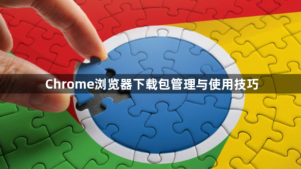 Chrome浏览器下载包管理与使用技巧1