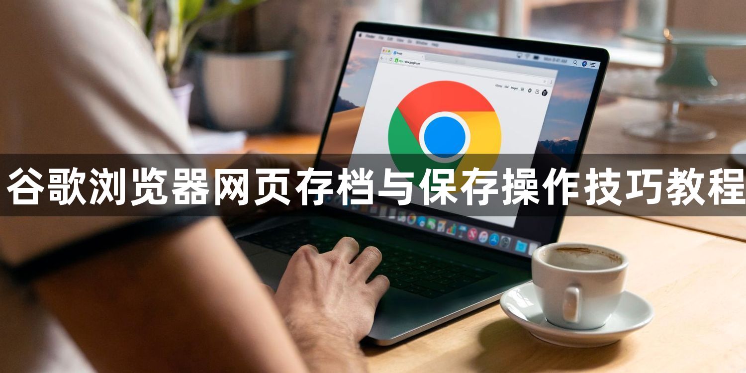 谷歌浏览器网页存档与保存操作技巧教程1