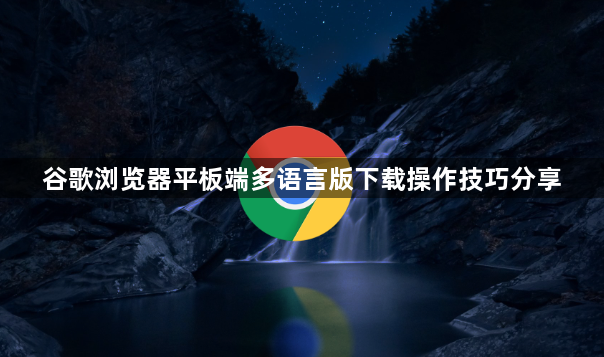 谷歌浏览器平板端多语言版下载操作技巧分享1