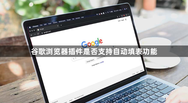 谷歌浏览器插件是否支持自动填表功能1