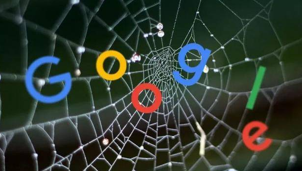 google浏览器针对特定域名启用安全代理策略指南-隐私网络防护