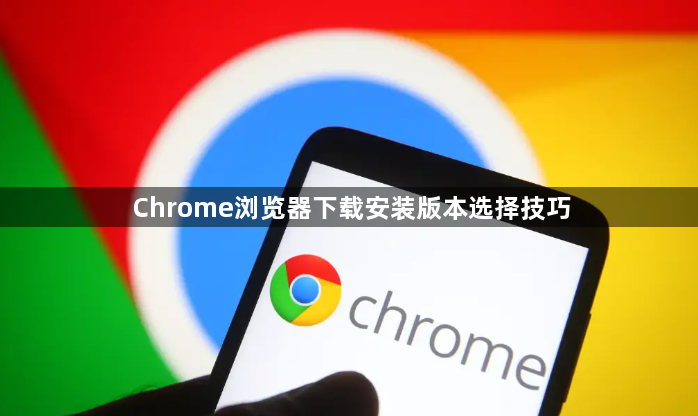 Chrome浏览器下载安装版本选择技巧1
