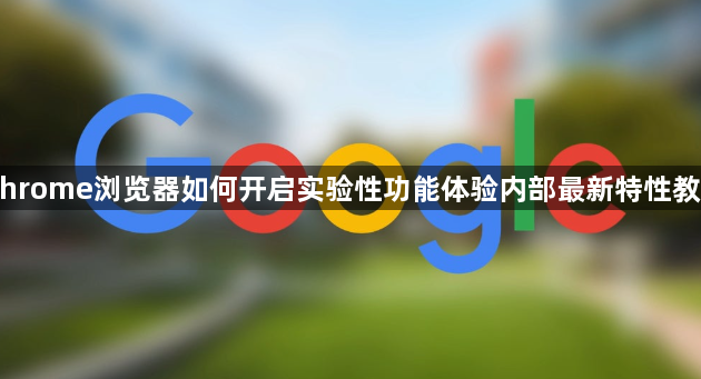 Chrome浏览器如何开启实验性功能体验内部最新特性教程1