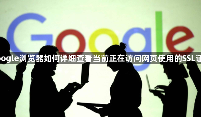 google浏览器如何详细查看当前正在访问网页使用的SSL证书1
