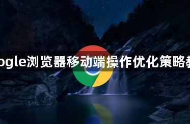 google浏览器移动端操作优化策略教程1