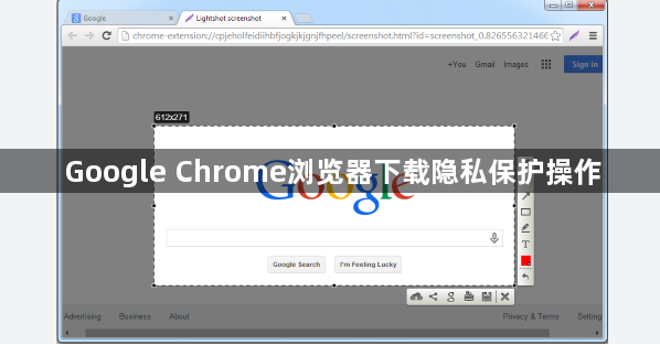 Google Chrome浏览器下载隐私保护操作1