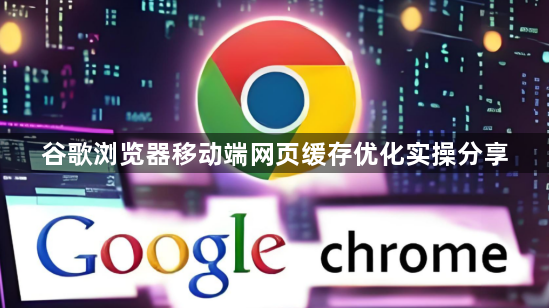 谷歌浏览器移动端网页缓存优化实操分享1