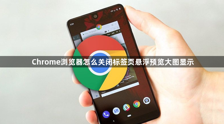 Chrome浏览器怎么关闭标签页悬浮预览大图显示1